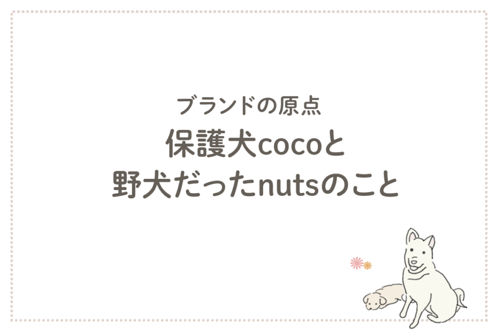 保護犬cocoと野犬だったnutsのこと