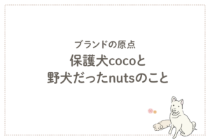 保護犬cocoと野犬だったnutsのこと